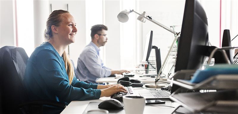 Consultants working side by side at their desks